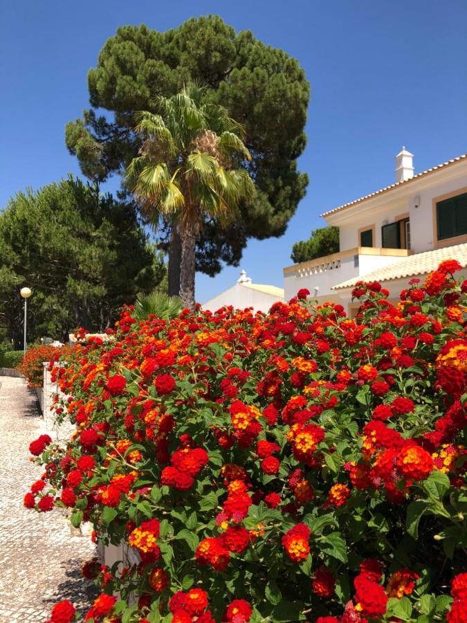Algarve Albufeira, Quiet With Pool At 10 Mn Walk From Da Falesia * Olhos de Agua (Albufeira)