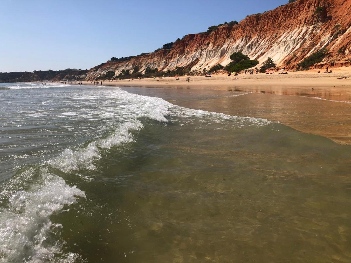 Algarve Albufeira, Quiet With Pool At 10 Mn Walk From Da Falesia * Olhos de Agua (Albufeira)